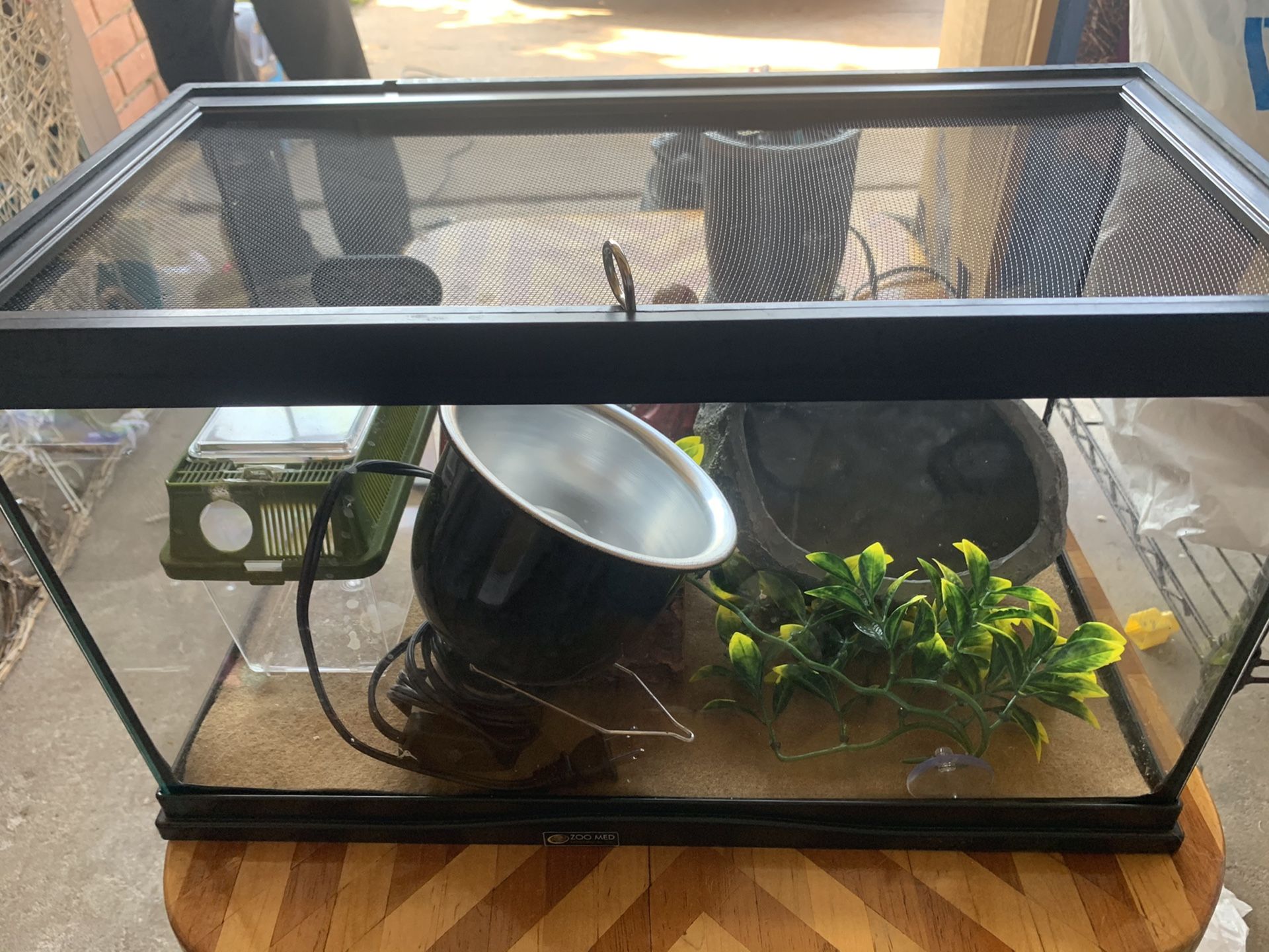 Reptile Terrarium Starter Kit