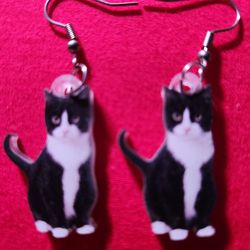 2D Tuxedo Cat Earrings