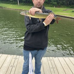 Fishing Poles For Sale 