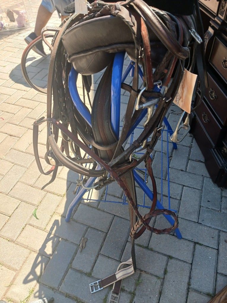 Riding Horse Equipment
