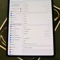iPad Pro 13 M5 WiFi+cellular 256gb Black Verizon