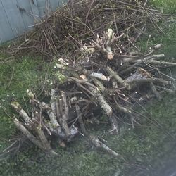 Firewood for free