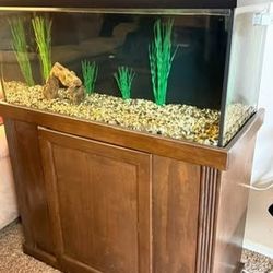 40 gallon Fish Aquarium with stand. Fluval canister filter 203