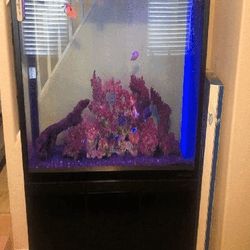 Large Full-Size Fish Tank – A Gorgeous Focal Point for Your Room international spend