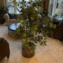 High Quality Faux Ficus Tree 