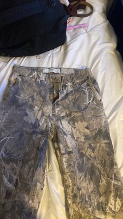Camp hollister jeans