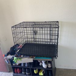 Folding Dog Crate