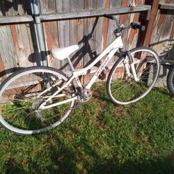 Specialized Speed Bike 