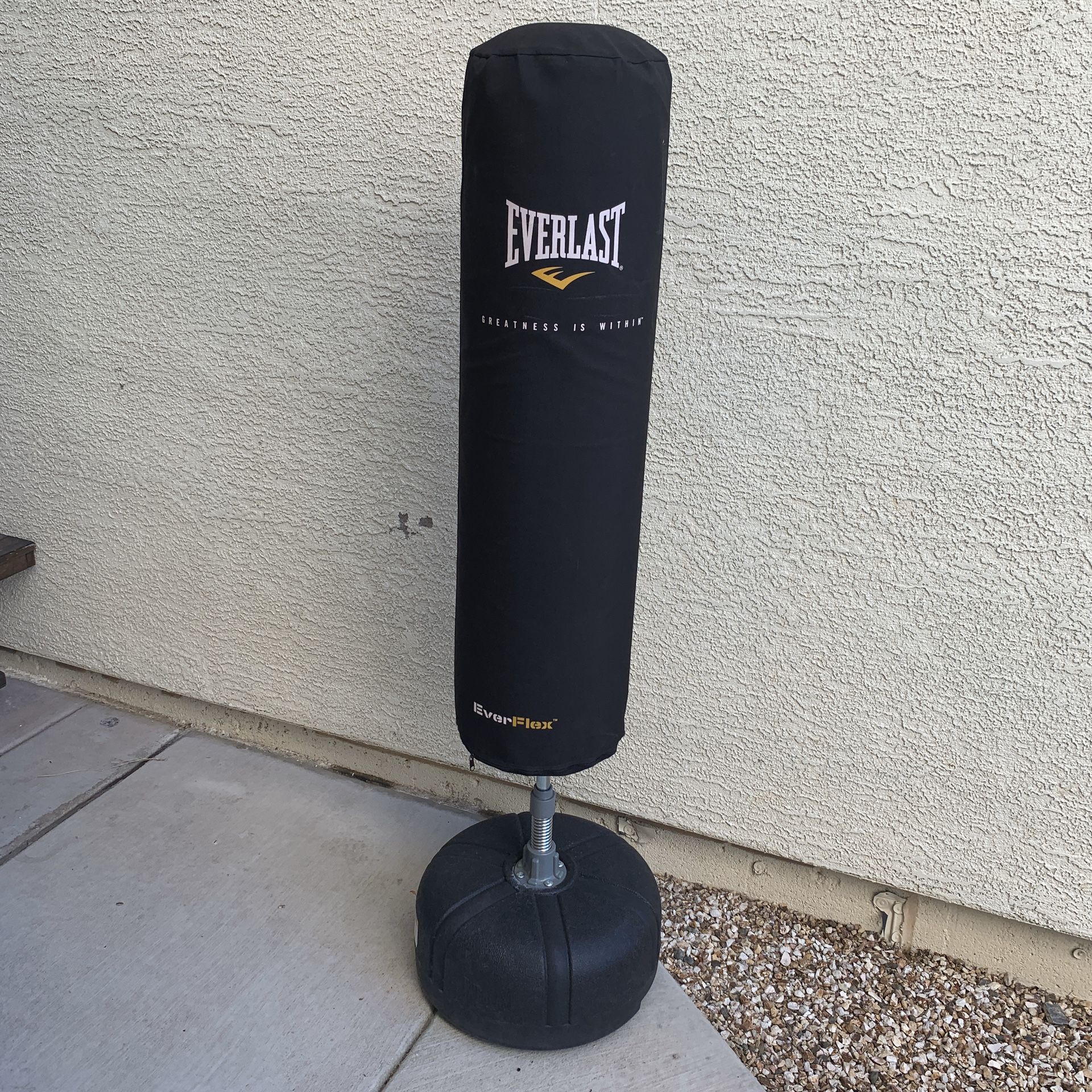 Everlast Cardio Strike Bag