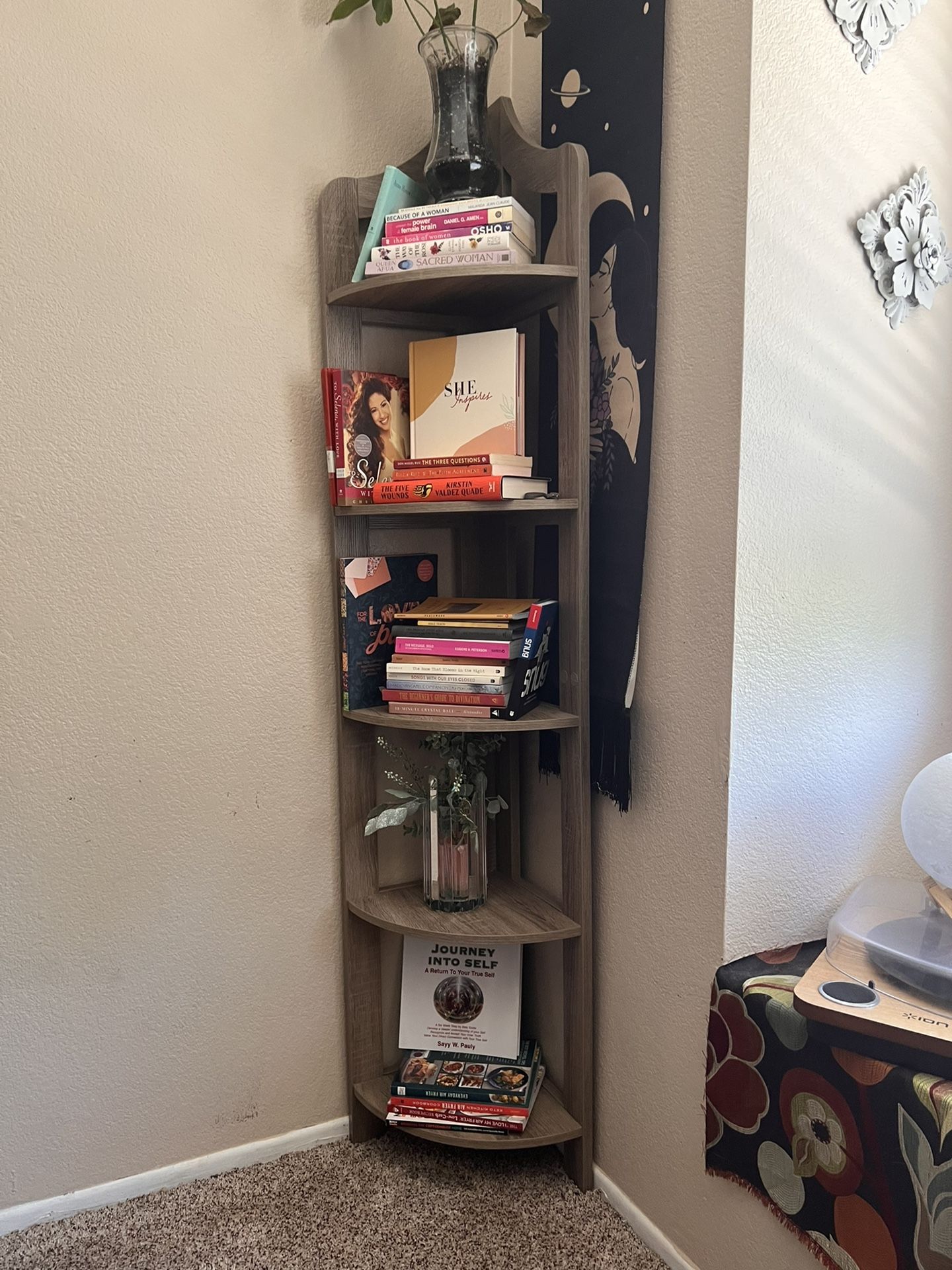 Bookshelves (2)