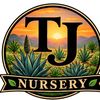 TJ N