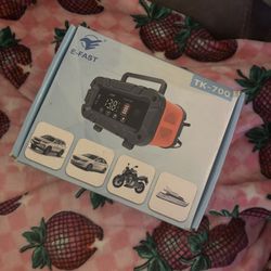 Car Battery Charger Plug In 