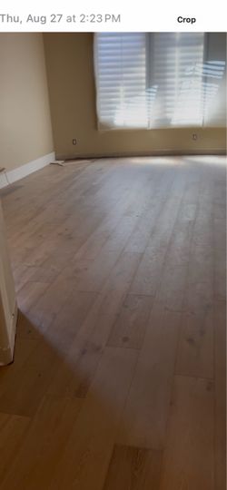 Ingenire floor glu dan