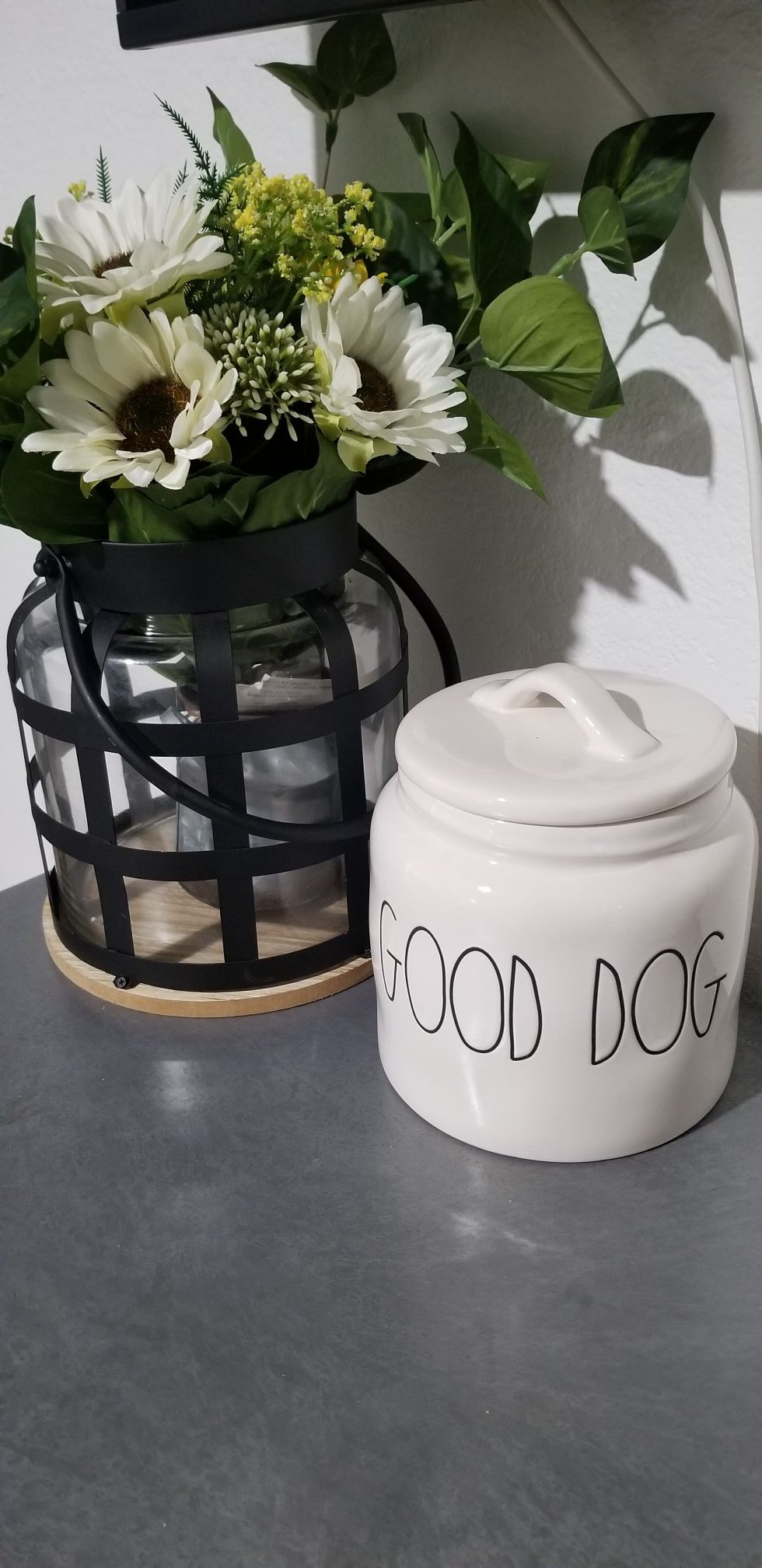 Rae Dunn dog canister / farmhouse decor kitchen home