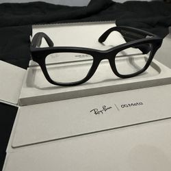 Ray Ban Meta Wayfarer Gen 2 Smart Glasses