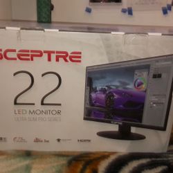Computer Monitor