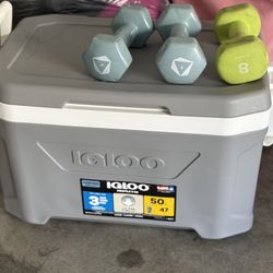 ICE CHEST