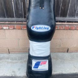Punching/Grappling Bag 
