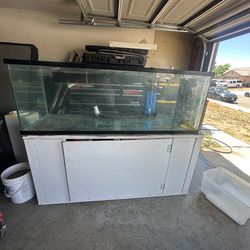 180 gallon with sump