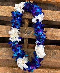 Graduation Lei
