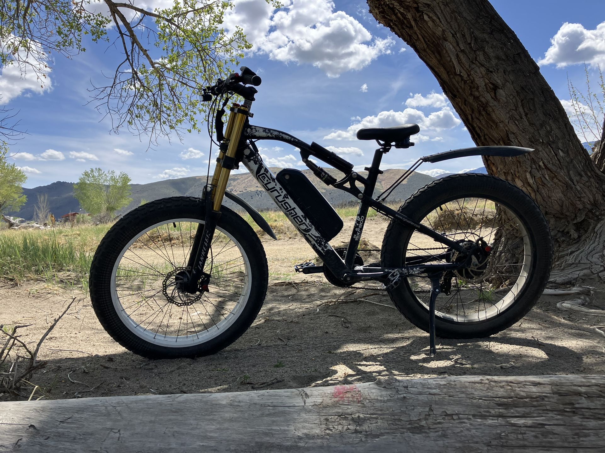 Fate Tire E-MTB (750 Watt).
