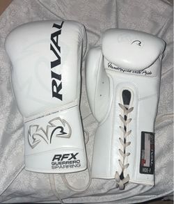 Rival Boxing Gloves