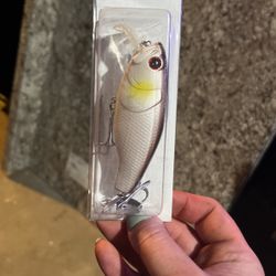 Fishing Floater/Lure