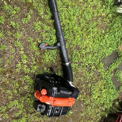 Echo Backpack Blower