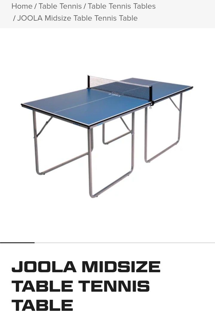 Ping Pong Table