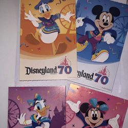 DISNEYLAND 🎢🍿🥤🥨🍦ONE ☝️PARK (4) TICKETS 🎟️ 🎟️🎟️🎟️ $600 PRICE FIRM