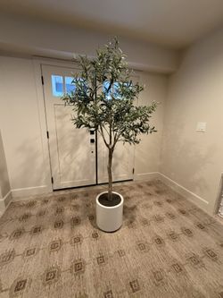 Faux Olive Tree 