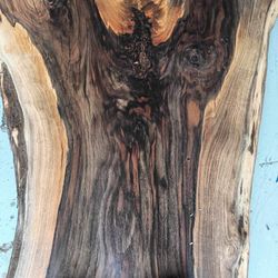 Black Walnut 