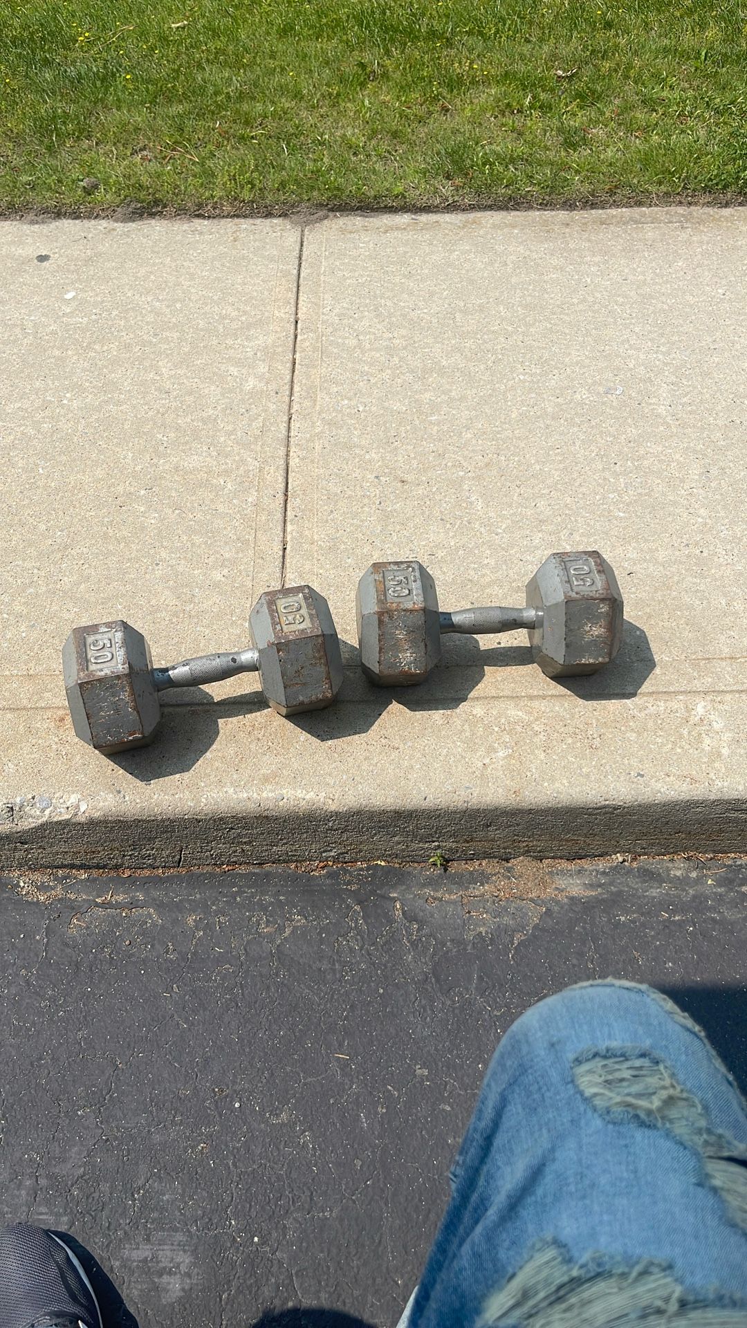 50 Pound Dumb Bells