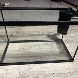 10 gallon fish tank freshwater aquarium