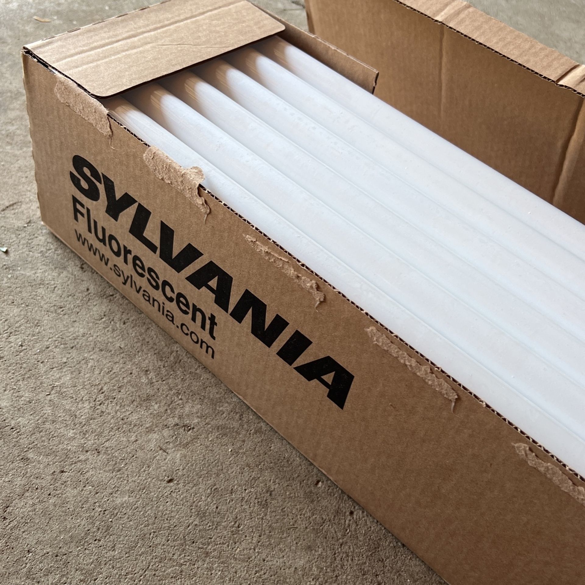 Sylvania Fluorescent Lightbalbbs