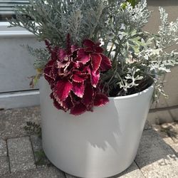 Flowers And Pot 