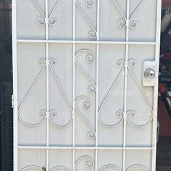 Security Door 36x80