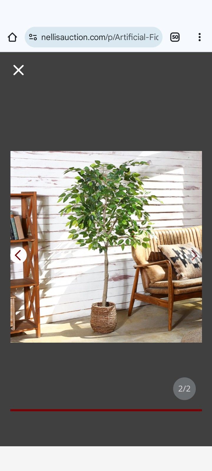 Artificial Ficus Silk Tree, 5FT