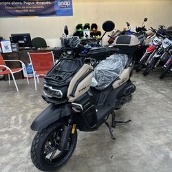 VITACCI TANK PRO 2025 EFI