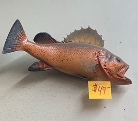 Rockfish Taxidermy $49-