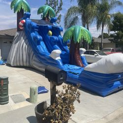 17ft Waterslide For Sale