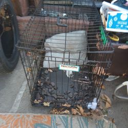 Dog Cage + More 