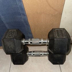 20 Lbs Dumbbells 