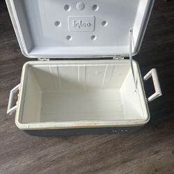 Cooler