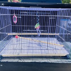Bird Cage 