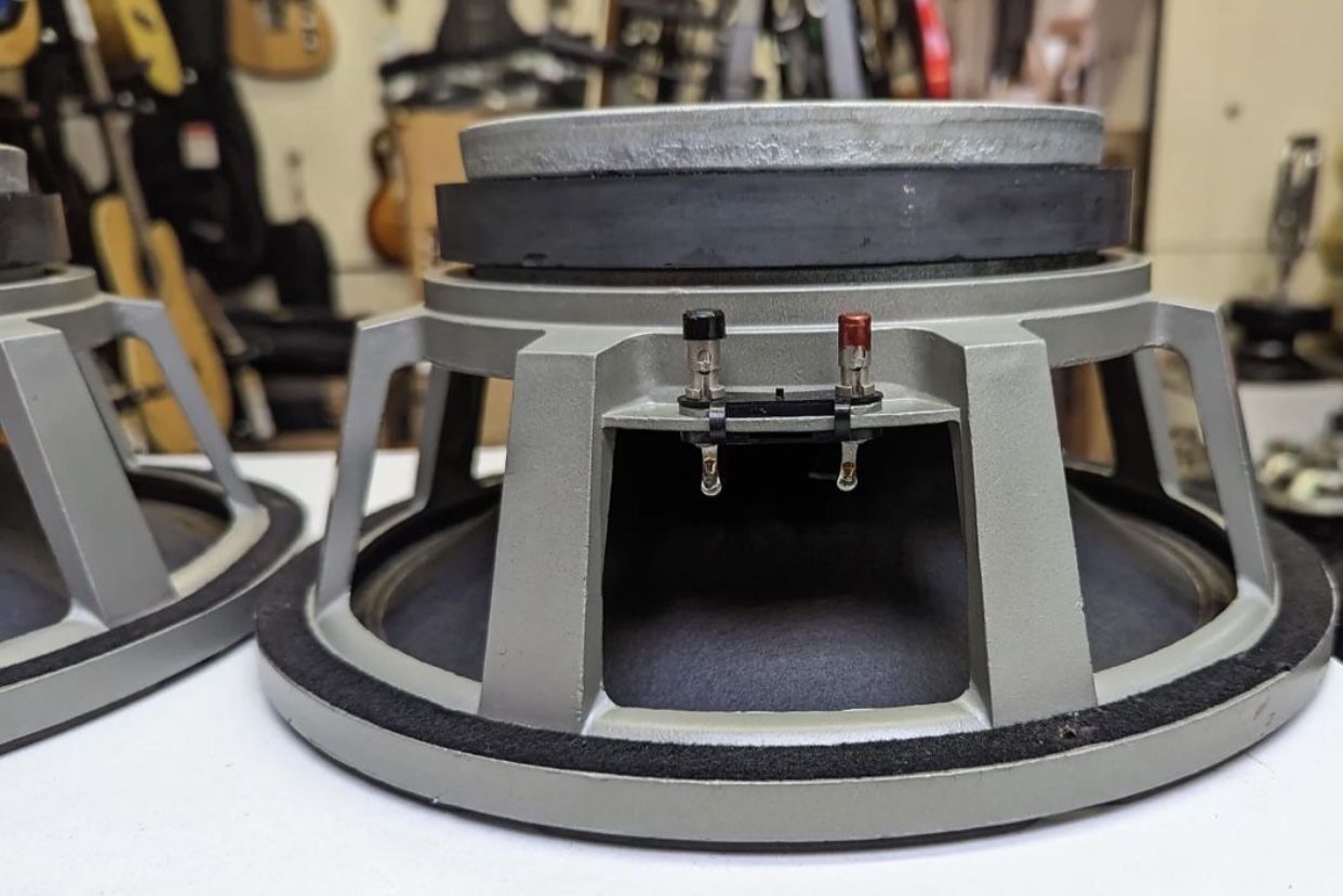 EVM 12” Guitar Speakers 