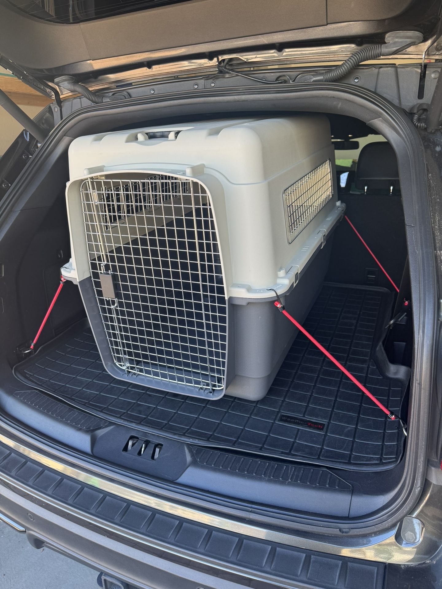 Dog Crate