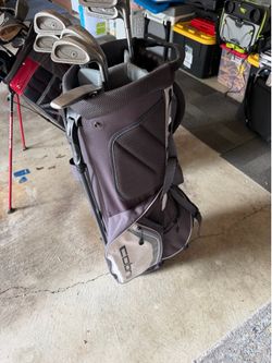 Cobra carry golf bag with pong irons