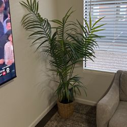 Artificial Plant With Basket Included 