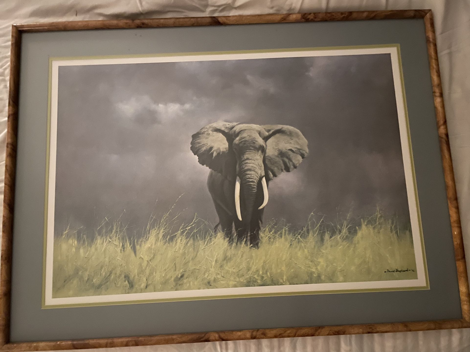 Wise Old Elephant by David Shepherd